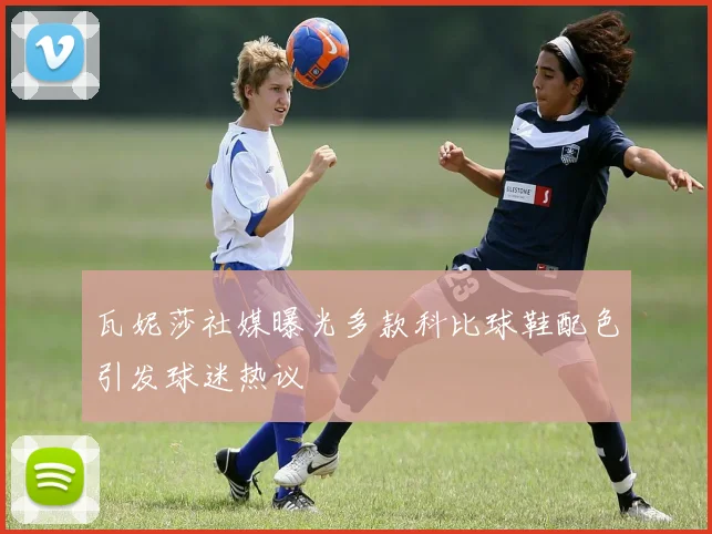 瓦妮莎社媒曝光多款科比球鞋配色引发球迷热议
